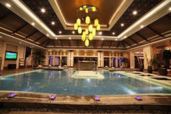 成都网红喝茶地推荐：闲适生活，品味成都！